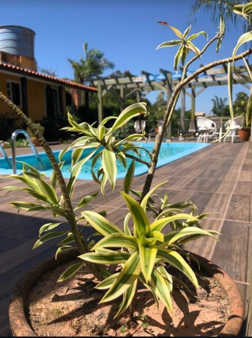 Pousada Sol Do Rosa Praia do Rosa Εξωτερικό φωτογραφία